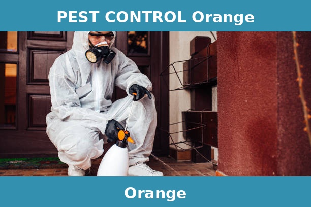 PEST CONTROL Orange